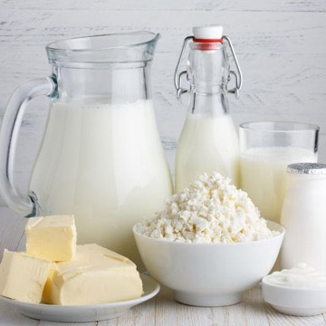 乳制品加工企业
